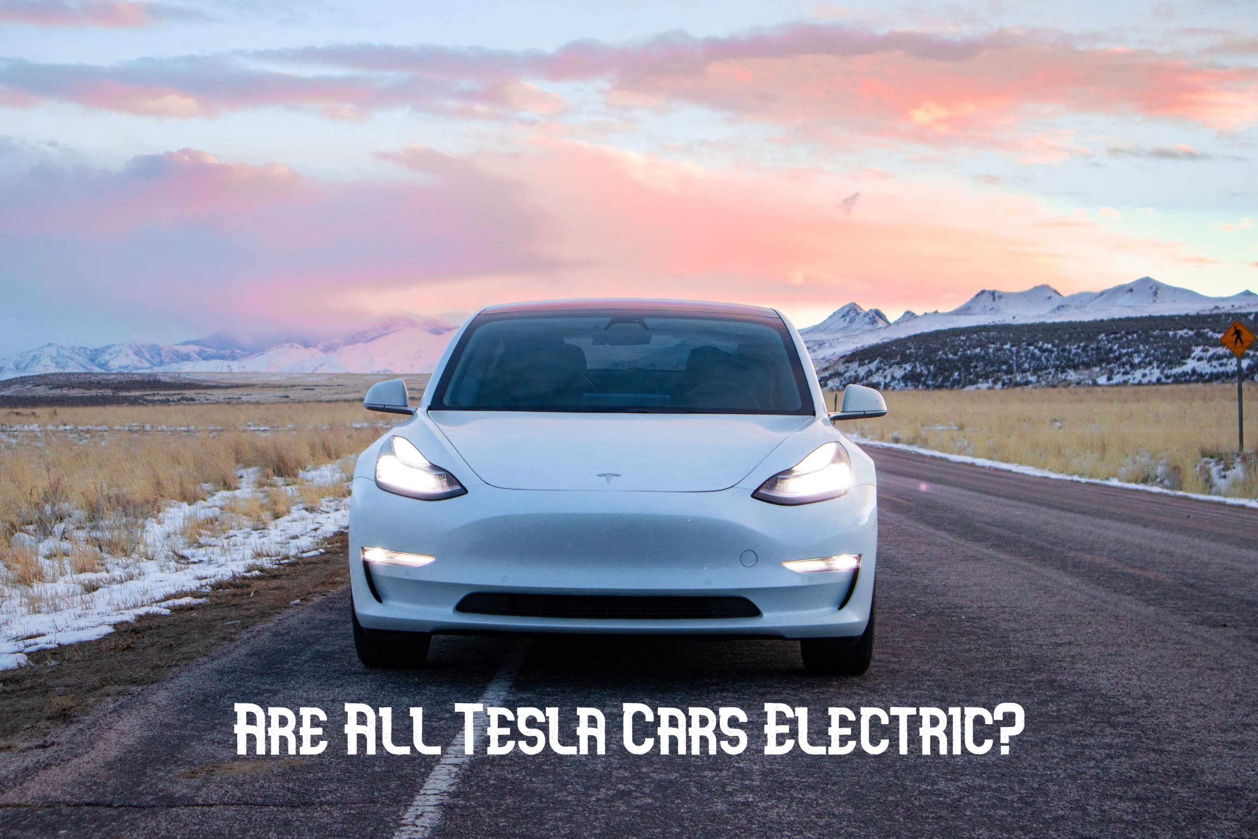 Are All Tesla Cars Electric?